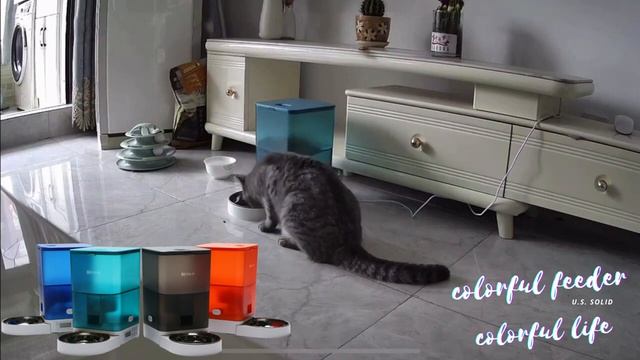 Grey blue cyan orange Automatic Cat Feeder by U S Solid смотреть онлайн