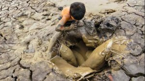 Протоптеры -  двоякодышащие рыбы