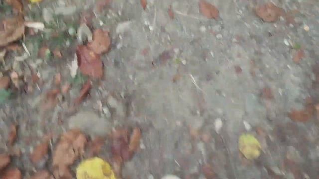 A Day In My Life| Rainy Day 🌧️| Shopping 🛍️ at Jogbani смотреть онлайн