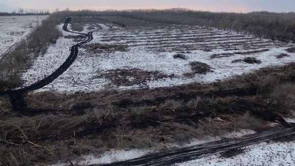 Дрон dji neo ....
Первые полёты