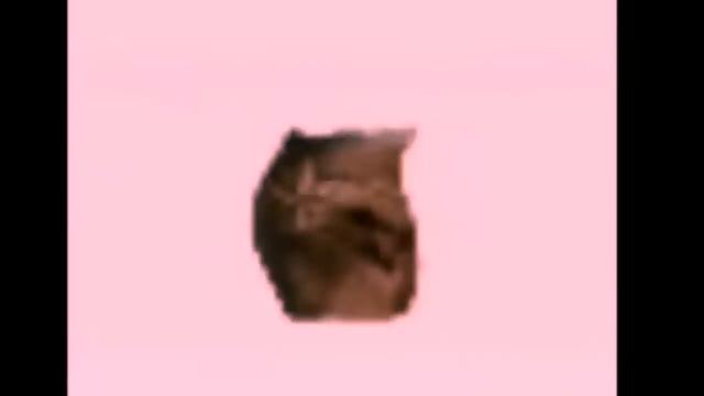 OIIAOIIA EXTENDED (1 HOUR)