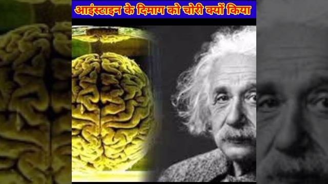Einstein का दिमाग किसने चुराया और क्यों चुराया ? #shorts | #Facts Shorts Science Video смотреть онлайн