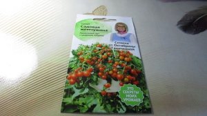 Томат "Садовая жемчужина" от Октябрины Ганичкиной: полный обзор сорта