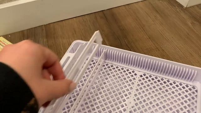 Sailnovo Egg Incubator Did My Quail Hatch смотреть онлайн