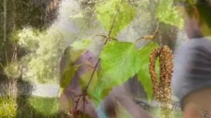 Раяз Фасихов.Яшик дуслар бергэлэп.