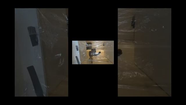 Яяна Пранки над моим котом реакция на Яяна Динияр Гучев смотреть онлайн