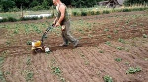 Обработка картошки мототяпкой  Чемпион. К сожалению звук плохой.