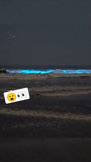Wow Check out this glowing Sand and Water ( Bioluminescence algae) #shorts смотреть онлайн