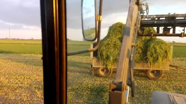 пучки жита МТЗ 82 турбо 2016 смотреть онлайн