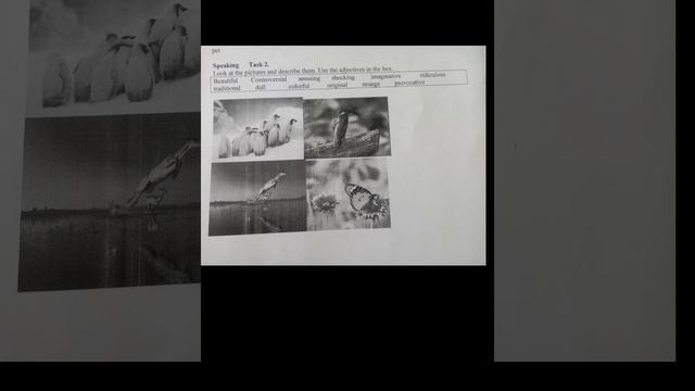 Ағылшын тілі 1 бжб 3 тоқсан 8 сынып смотреть онлайн