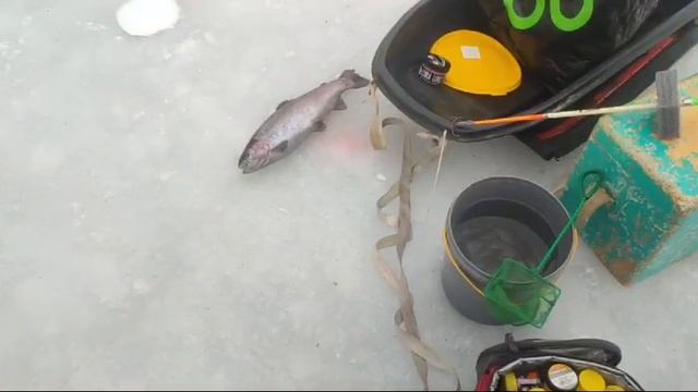 WhatsApp Video 2025-01-25 at 09.51.04 смотреть онлайн