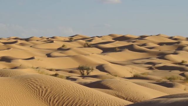 Le Grand Erg Oriental смотреть онлайн