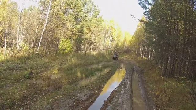 Поездка в ЧиКагу смотреть онлайн