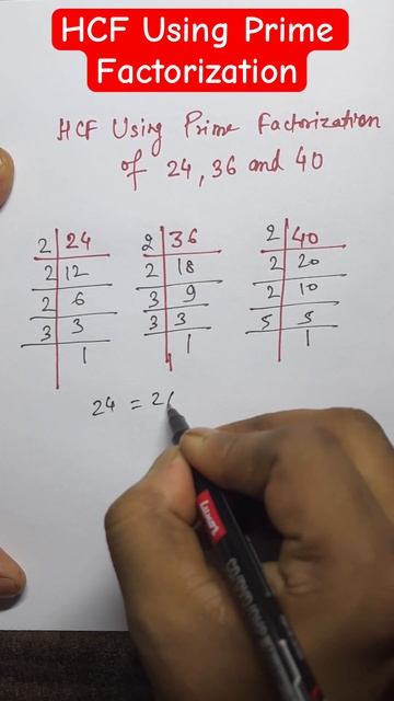 HCF Using Prime Factorization of 24, 36 and 40 #math #mathtricks #mathconcepts #mathhacks смотреть онлайн