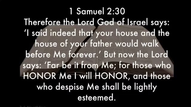 The Protocol of Increase by Pastor Ebenezer Maxwell@Destiny Sunday (Animation) смотреть онлайн