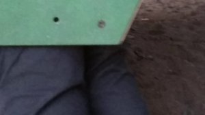 Настоящие роды
