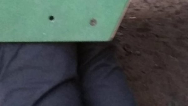 Настоящие роды