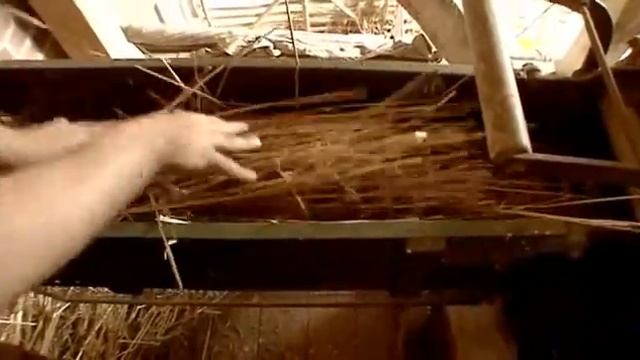Викторианская ферма 3 (greenwoodfarm.ru) смотреть онлайн
