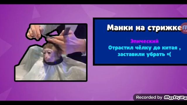 Играйу в Бабл Квас 2 (купил себе суины) смотреть онлайн