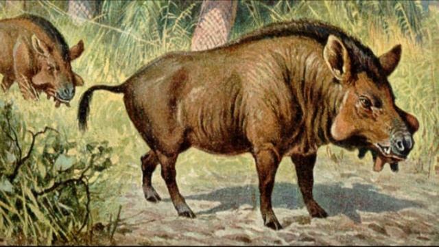 7 MONSTROS MAIS BIZARROS QUE VIVERAM NA PRÉ-HISTORIA смотреть онлайн