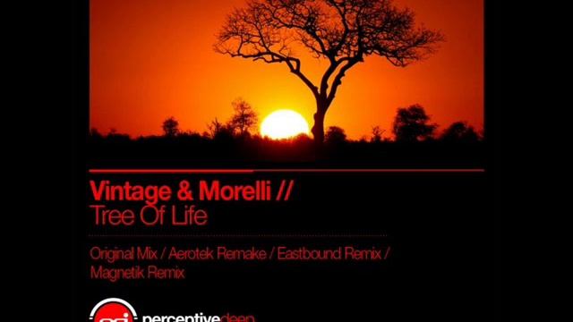 Vintage & Morelli - Tree Of Life [Magnetik Rmx] смотреть онлайн