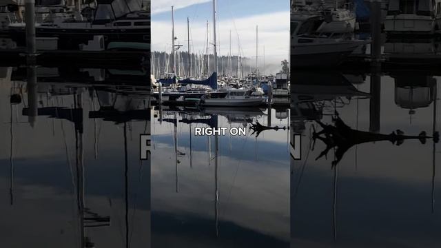 5 things to know before moving to Gig Harbor, WA смотреть онлайн