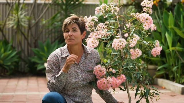 Smart Watering Tips with The Garden Gurus смотреть онлайн