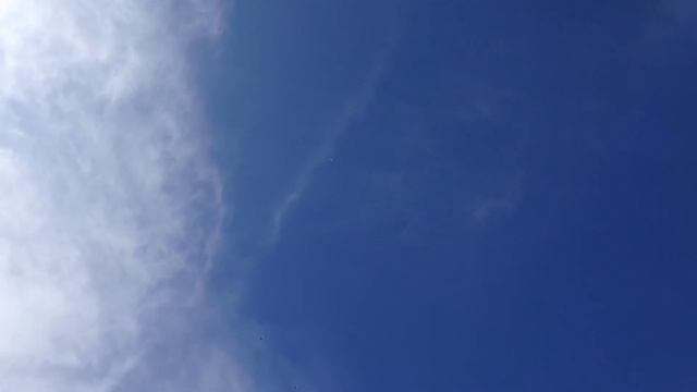 4 мая 2016 г. смотреть онлайн