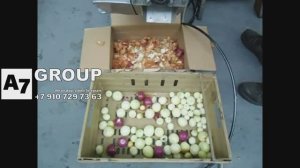 Лук мелкий, некондиция: очистка и обрезка #лук #машина #оборудование