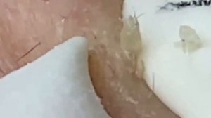 العناية بالبشرة الفاخرة اليومية للوجه مع وكالة ناسا #NASA 7221