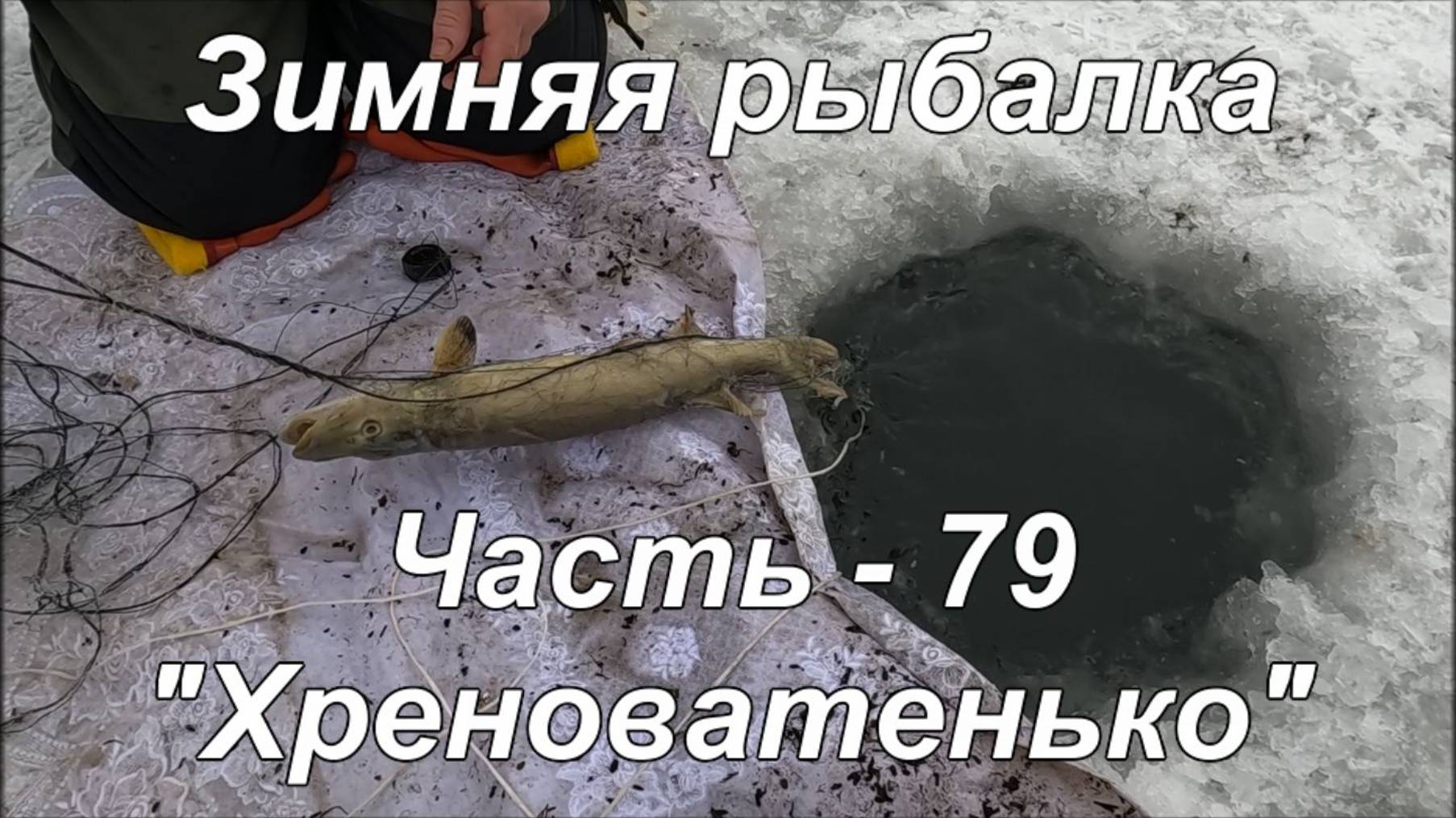 Зимняя рыбалка. Часть - 79. "Хреноватенько". смотреть онлайн
