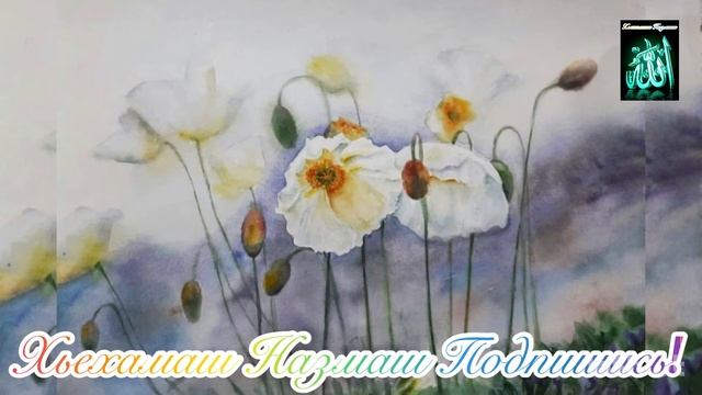 Нана бохуш долу дош мерзи дош ду хьуна/Дог делхош хаза назма/ смотреть онлайн