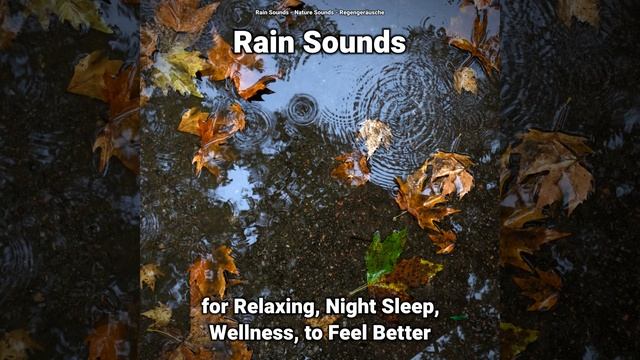 Rain Sounds for Relaxing and Night Sleep Pt. 67 смотреть онлайн