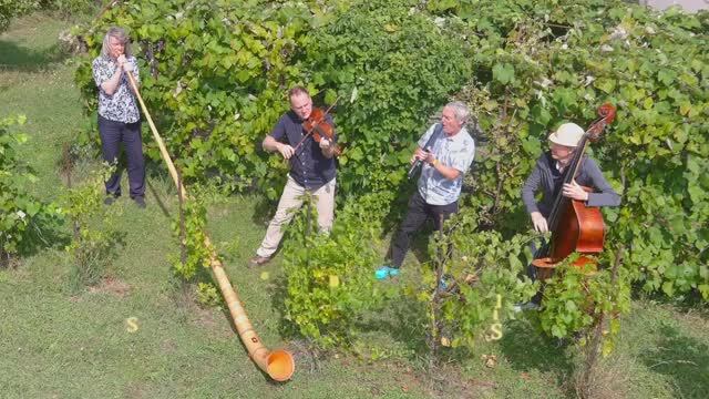 Pago Libre - «Wild Card» (Песни с фермы) 2025, Leo Records. PROMO CLIP