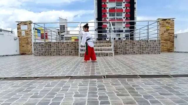 Julieta Lopez Farado-Academia De Taekwondo Pine Black-Colombia-Taeguk 3 смотреть онлайн