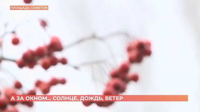 А за окном. 25 марта 2022 смотреть онлайн