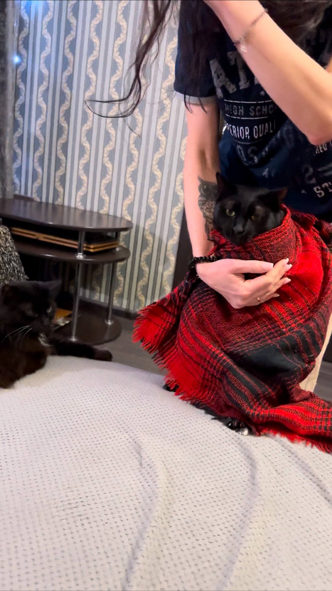 Ласковый зверёныш.