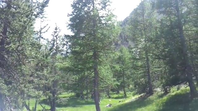 Tour 2015: Col de l'Echelle смотреть онлайн