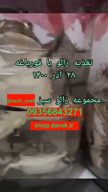 زالو فروشی смотреть онлайн
