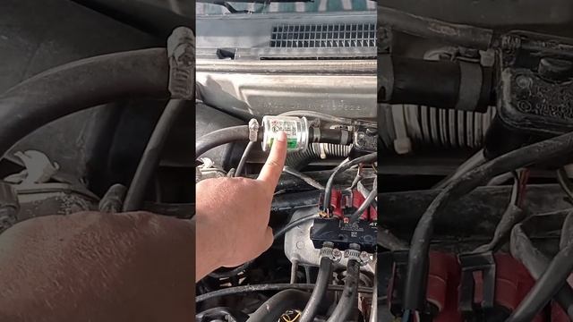 Europegas basico 24 modeli LPG sistemi kullanım ve bilgilendirme. смотреть онлайн