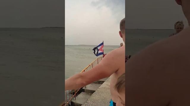 В Геническе медуз сбрасывают в море вместе с мусором смотреть онлайн