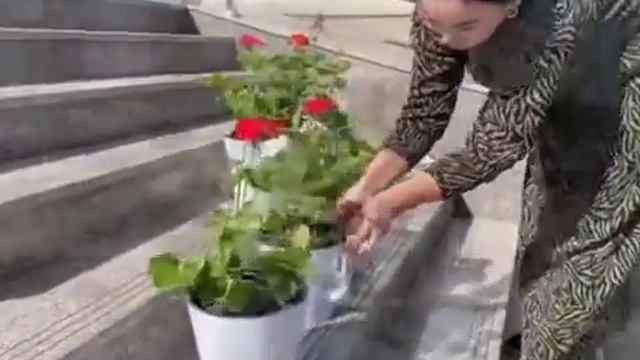 16-17 март кунлари бўлиб ўтган умумхалқ хашари смотреть онлайн