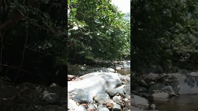 Mabilisang pagGala sa Tala😁 #Nature #FreshAir #Tala #Gala смотреть онлайн