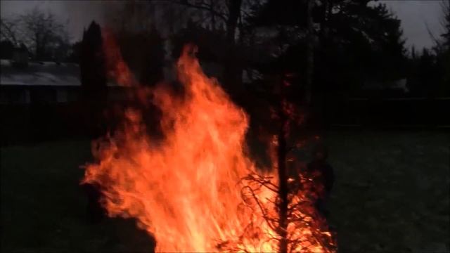 Раз, два, три! Ёлочка гори! смотреть онлайн