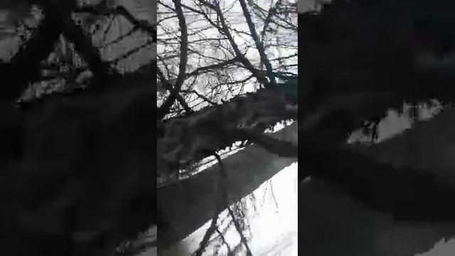 9 декабря 2023 г. смотреть онлайн