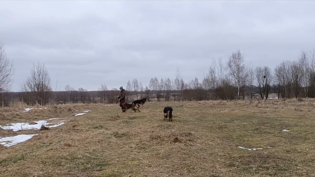 Веттерхорн 9 месяцев. смотреть онлайн