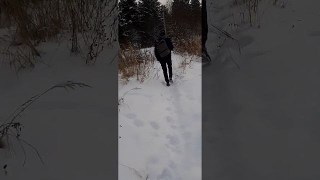 дорога на фотососсию😉 смотреть онлайн