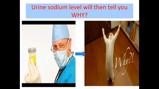 Those SWEET Electrolytes (The Ode to Hyponatremia). From "Medical School in Songs" смотреть онлайн