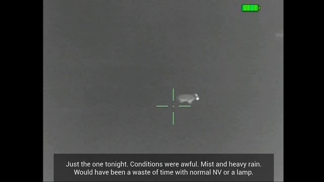 Thermal foxing: Out in heavy mist and rain with the .223 and WT1 75-3 V2 смотреть онлайн