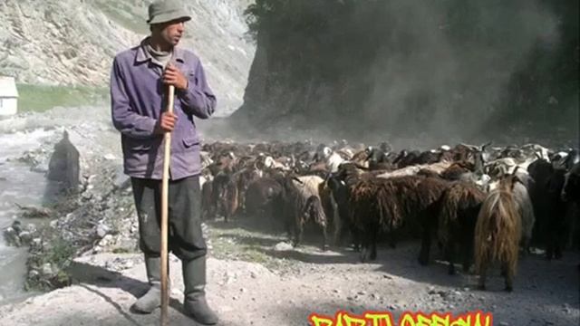 МС 2КИЛО ГУШТ😆😆 ( ОХ ШАБНАМ КУШТИ МАРА 😆😆😆) смотреть онлайн